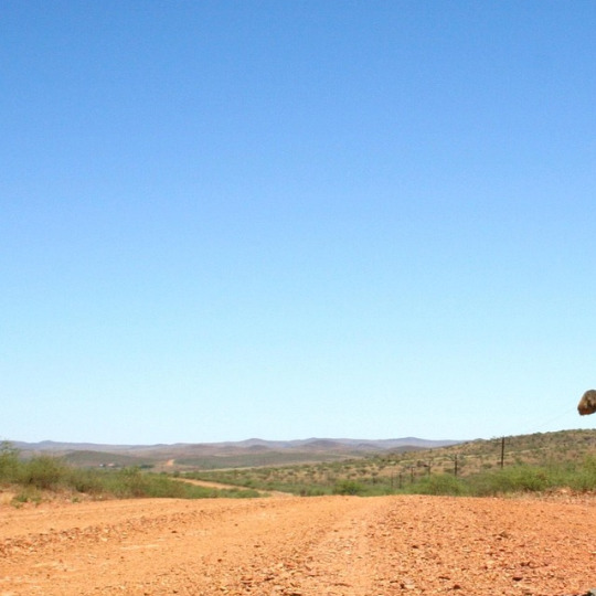 accessories consultant portrait